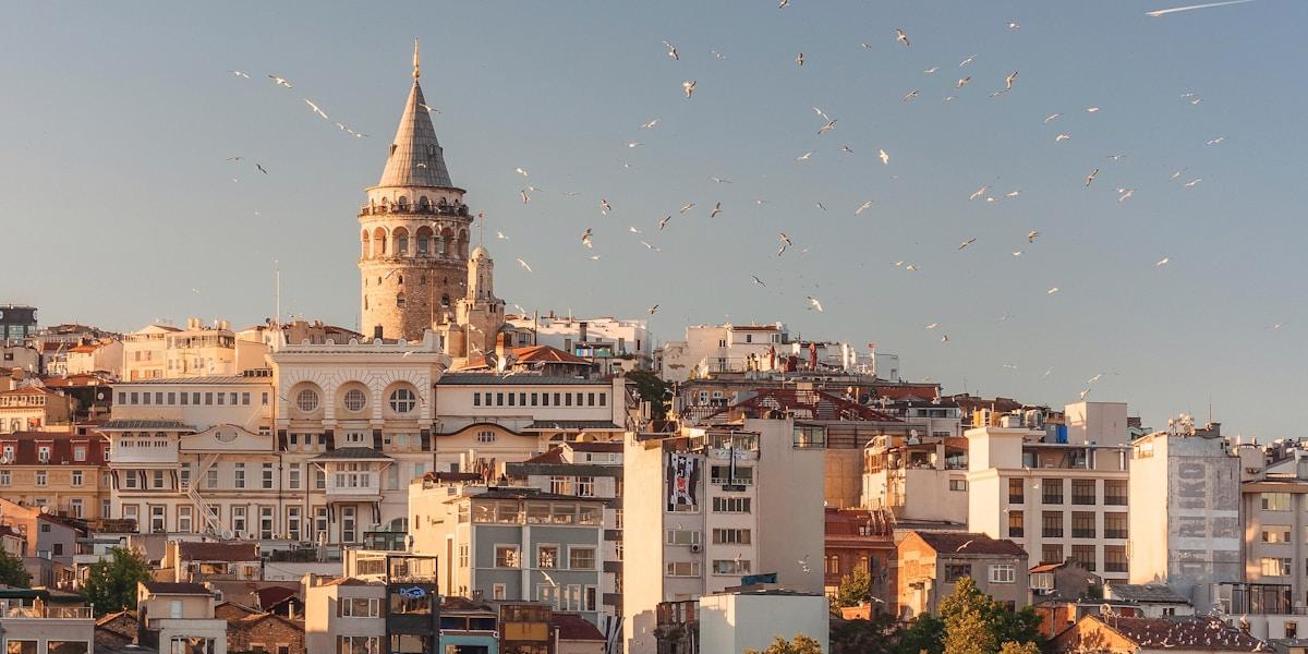 İstanbul'u Kendi Ritminizde Keşfedin: Özel Araç ve Rehberli Şehir Turu Avantajları